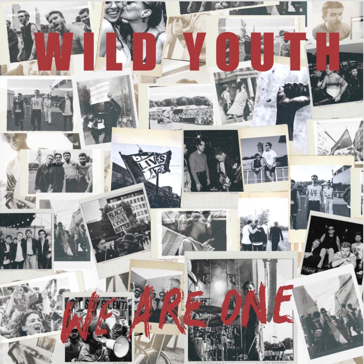 Wild Youth