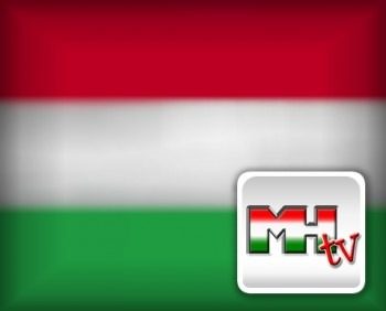 sin_ano_31122008_111309_LOGO_HUNGRiA-3