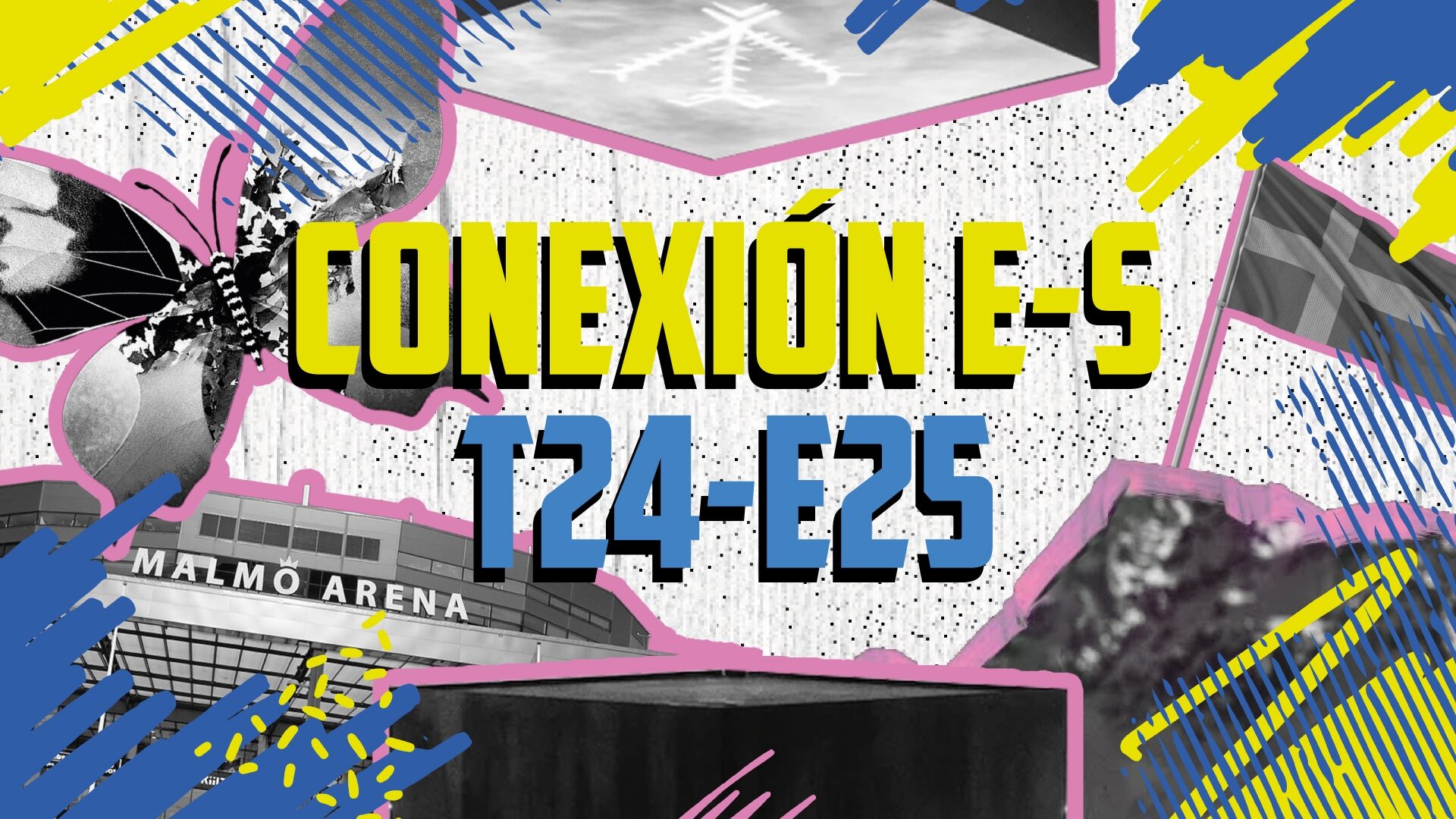 Conexion E-S T24E25