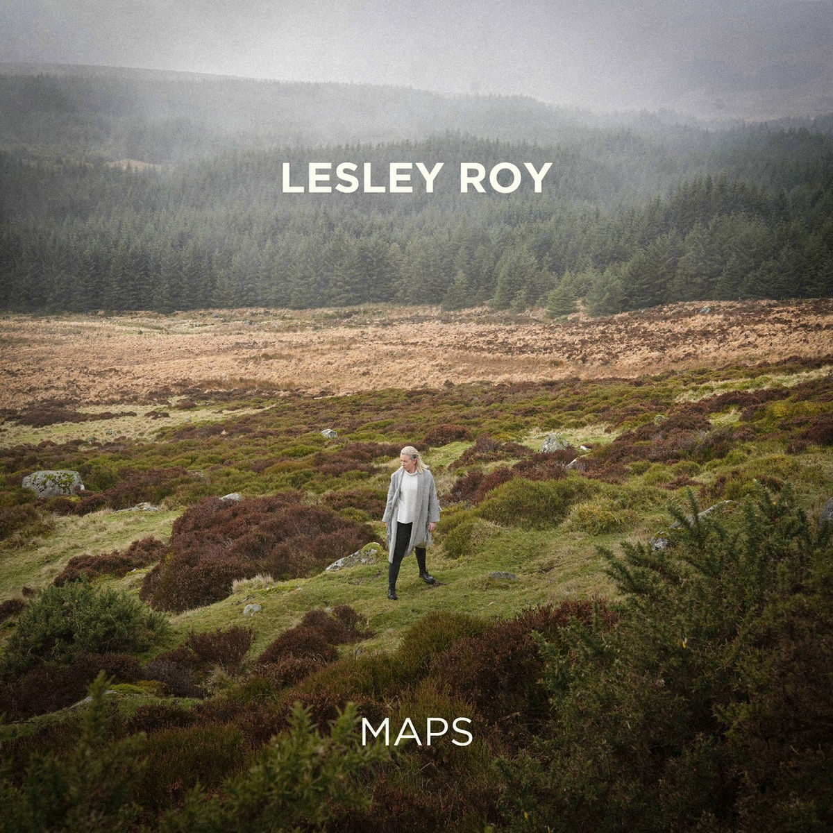 lesley roy