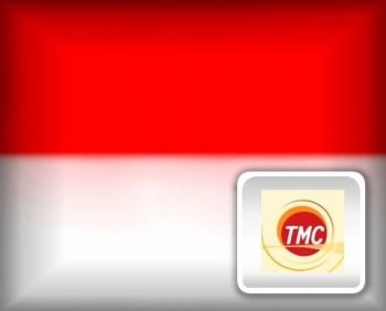sin_ano_31122008_111535_LOGO_MONACO-1