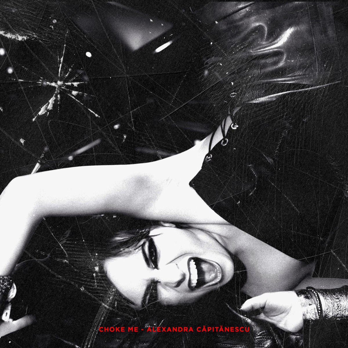 alexandra capitanescu 2